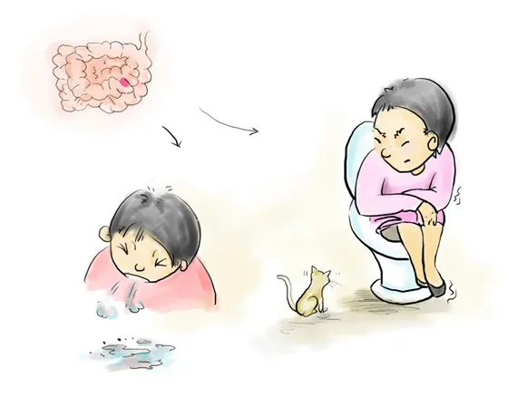 关注霍乱在全球多国零星暴发