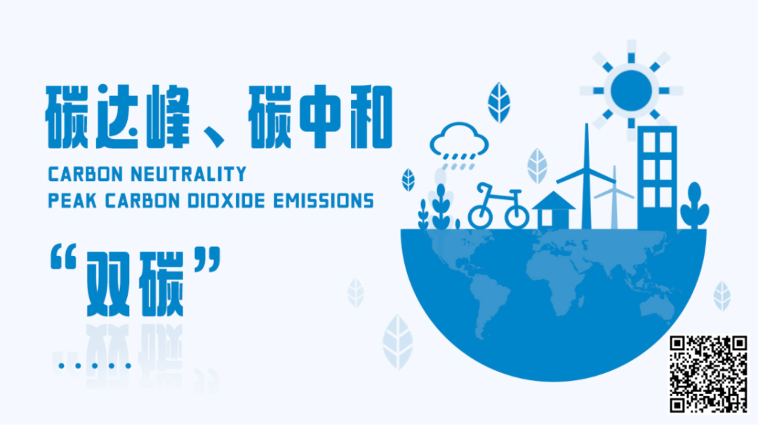 "双碳"驱动之下,电动船舶驶向百亿蓝海丨双碳观察 - 元宇宙