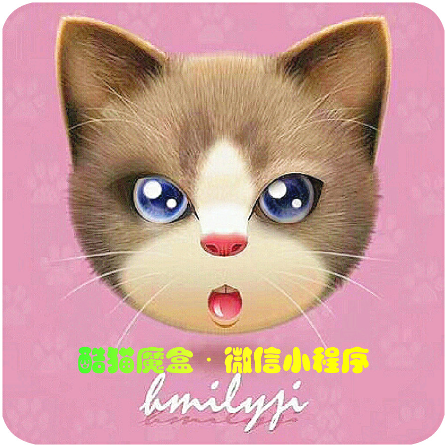 酷猫科技（青岛）