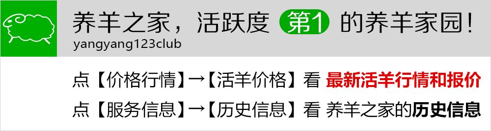 养羊致富经_养羊致富经2020年全集_致富养羊能手资料