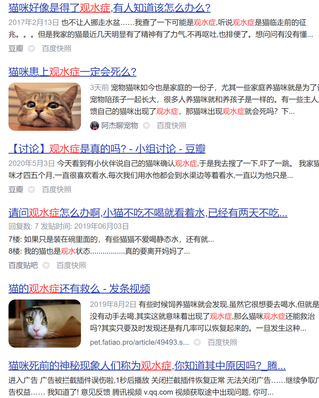 养猫烦恼经 猫痴盯着水碗不喝，就是猫要死了？！ - 全网搜