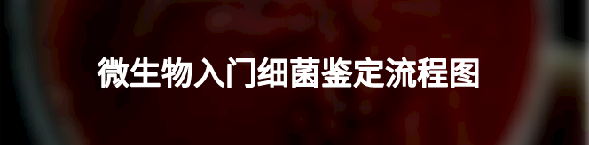 粪便常规仪器怎么用一场“大追踪”！引起嗜酸性粒细胞增高的真正原因是……_https://www.jmylbn.com_新闻资讯_第21张