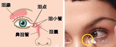 听说你一直将眼药水滴在眼球上眼药水这样用才正确