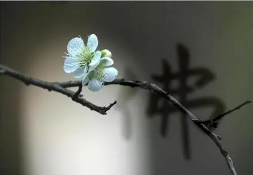 法会丨普光寺农历六月十九观音菩萨成道纪念日祈福法会通启