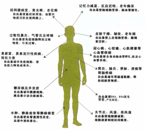 什么波治疗仪高电位治疗仪功能——高周波_https://www.jmylbn.com_新闻资讯_第12张
