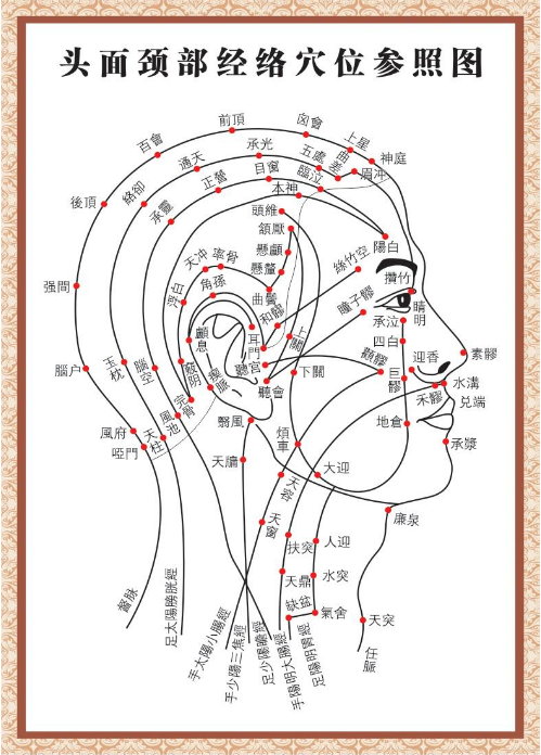 颈部经络图