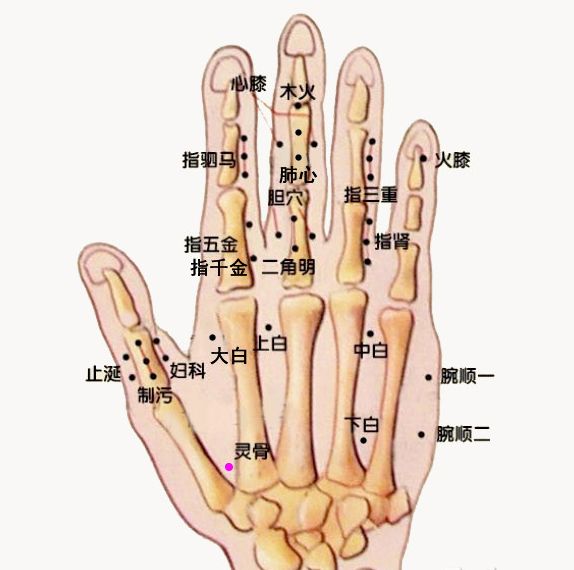 董氏奇穴 手掌部位 灵骨穴 珍仲医斋 微信公众号文章阅读 Wemp