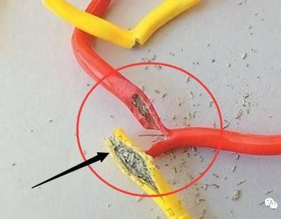 這種電線千萬不要買，“偷了芯”一捏就碎，裝上不到兩年吃盡苦頭的圖1