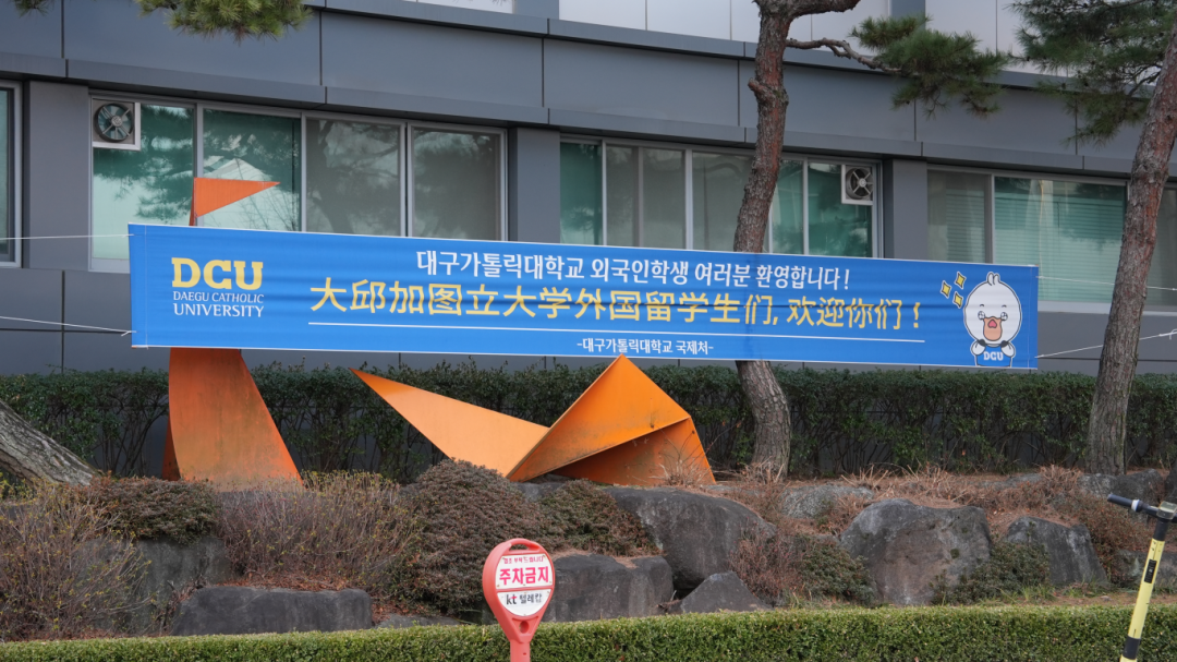 86d6dd8d1096c52be2d8c3bf29432ba6.png