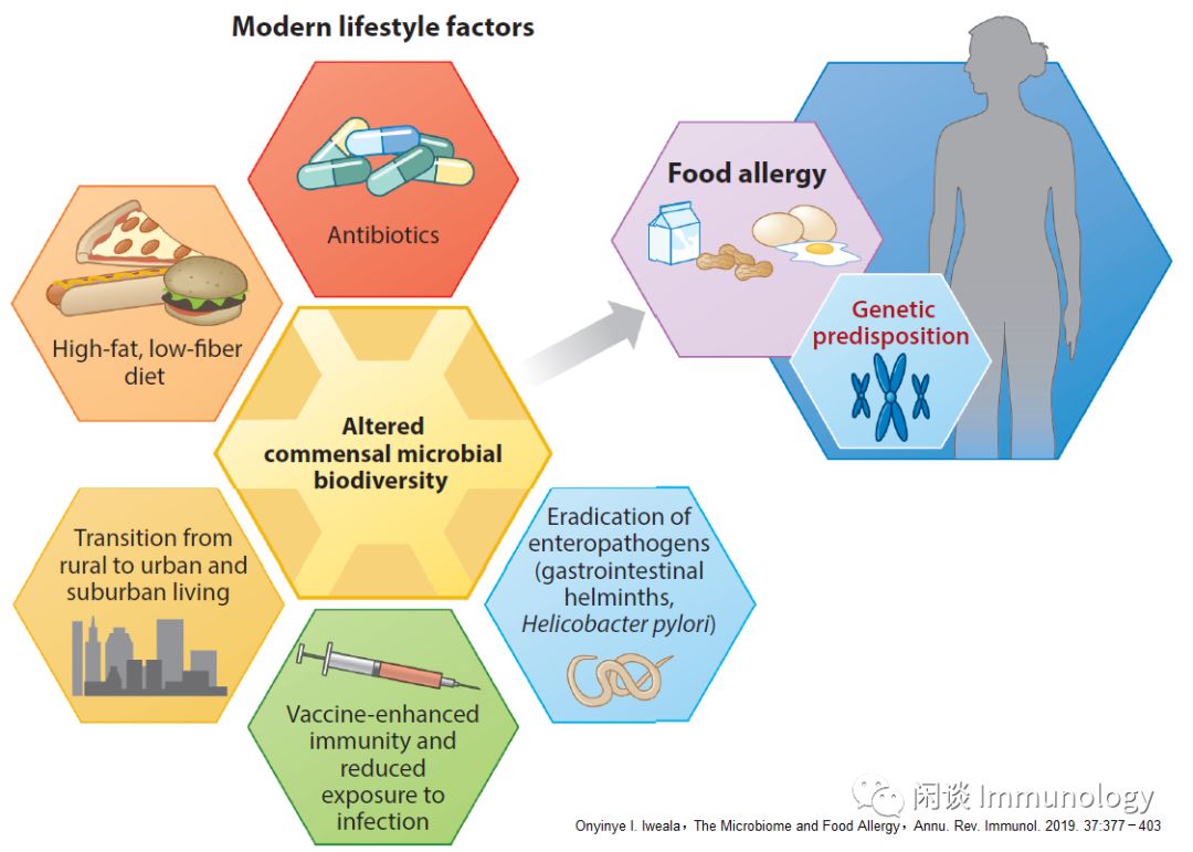 精液微生物組，糞菌移植治療帕金森相幹便秘，戒煙如何改變腸道細菌？ 健康 第5張