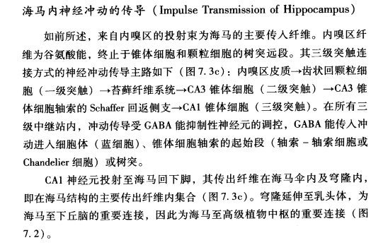 外展枕怎么使用中枢神经系统解剖定位诊断【大全】_https://www.jmylbn.com_新闻资讯_第28张