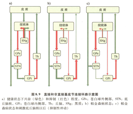 外展枕怎么使用中枢神经系统解剖定位诊断【大全】_https://www.jmylbn.com_新闻资讯_第23张