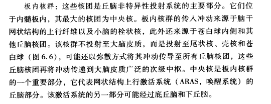 外展枕怎么使用中枢神经系统解剖定位诊断【大全】_https://www.jmylbn.com_新闻资讯_第37张