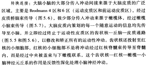 外展枕怎么使用中枢神经系统解剖定位诊断【大全】_https://www.jmylbn.com_新闻资讯_第142张