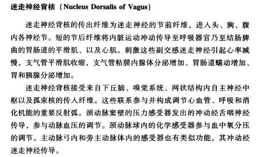 外展枕怎么使用中枢神经系统解剖定位诊断【大全】_https://www.jmylbn.com_新闻资讯_第90张