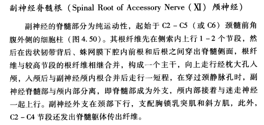 外展枕怎么使用中枢神经系统解剖定位诊断【大全】_https://www.jmylbn.com_新闻资讯_第91张