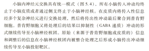 外展枕怎么使用中枢神经系统解剖定位诊断【大全】_https://www.jmylbn.com_新闻资讯_第134张