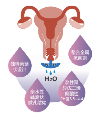 子宫支架怎么上宫颈HPV感染者的福音——宫颈治疗支架疗法，你知多少？（文末获取5分钟速查方式）_https://www.jmylbn.com_新闻资讯_第10张