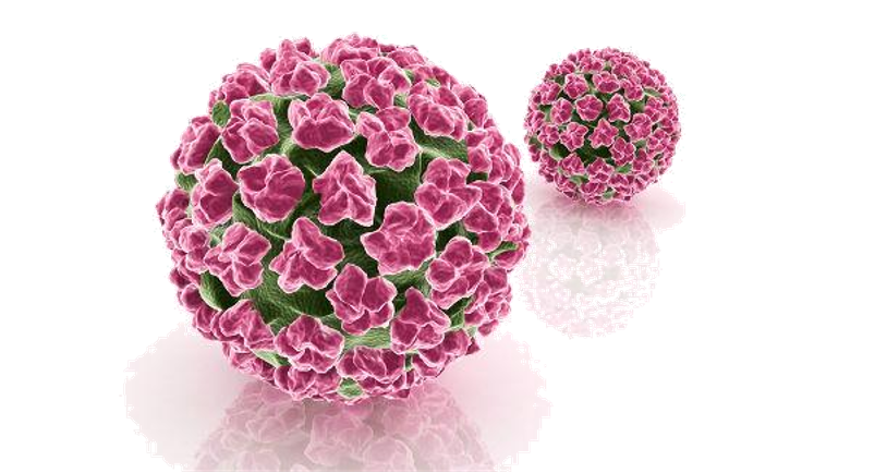 子宫支架怎么上宫颈HPV感染者的福音——宫颈治疗支架疗法，你知多少？（文末获取5分钟速查方式）_https://www.jmylbn.com_新闻资讯_第2张