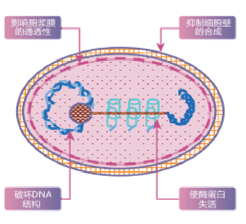 子宫支架怎么上宫颈HPV感染者的福音——宫颈治疗支架疗法，你知多少？（文末获取5分钟速查方式）_https://www.jmylbn.com_新闻资讯_第11张