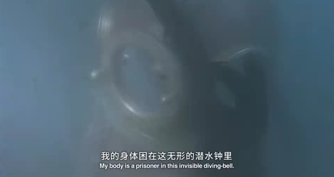 植物能听得懂人说话吗_植物人有意识吗能听得到我们说话吗_植物听的到人说话吗