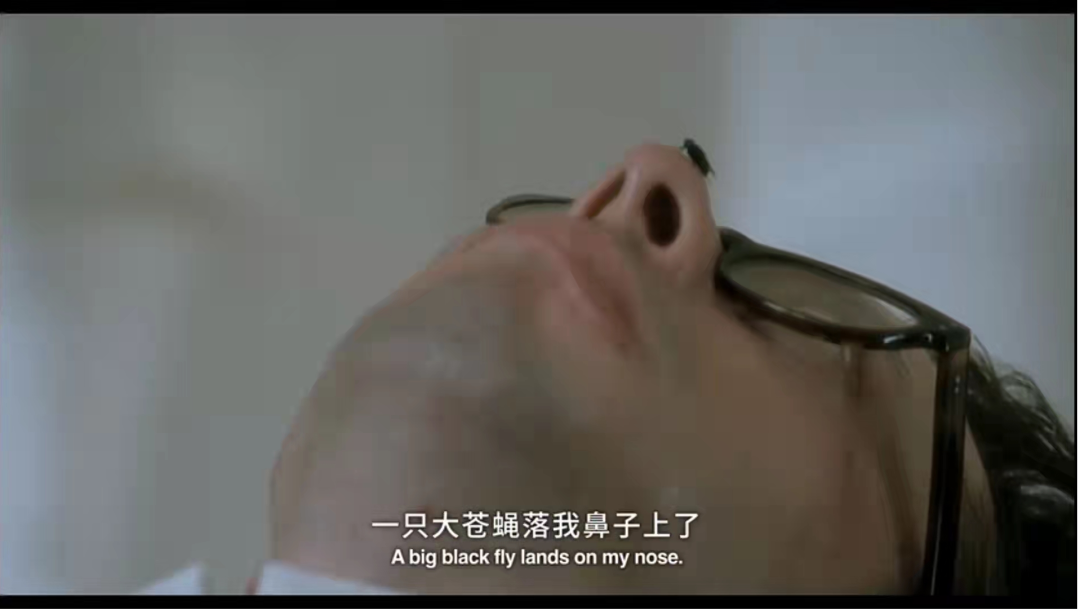 植物人有意识吗能听得到我们说话吗_植物能听得懂人说话吗_植物听的到人说话吗