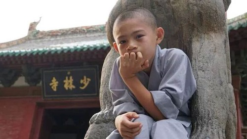 河南卫视，中国的东京电视台，从辉煌到糊逼（组图） - 34