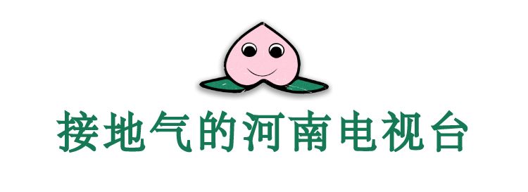 河南卫视，中国的东京电视台，从辉煌到糊逼（组图） - 9