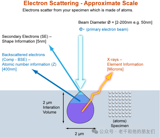 二手 牛津 EDX X-MaX能譜儀