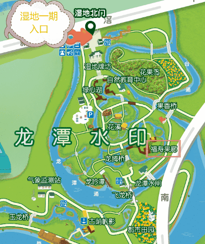 广州惊现8000㎡虞美人花海超仙超美
