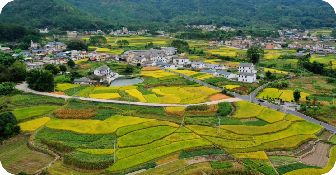 文福镇美丽乡村一角（蕉岭县人民政府地方志办公室供图）