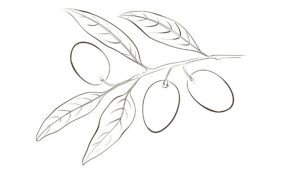 别让健康等“肽”久