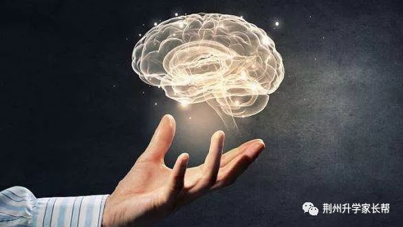 全脑开发教育，成就天才的摇篮，教育趋势的改变