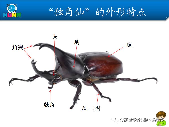 Hd09班小小科技馆 下 第八课 铁甲钢钳 好前程韩端机器人俱乐部 微信公众号文章阅读 Wemp