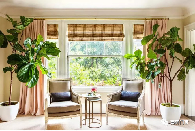 利用绿植，让家更充满春意盎然