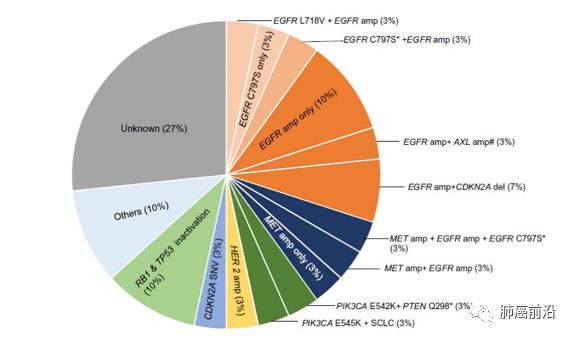 Ebiomedicine 中國首個原研第三代egfr Tki艾維替尼的耐藥機制探索 肺癌前沿 微文庫
