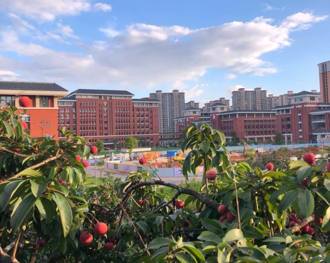 增城大华城东瀚*付5万可上车，值不值得买？