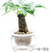 火萤棋牌充值不到账