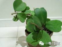 富贵乐园官网