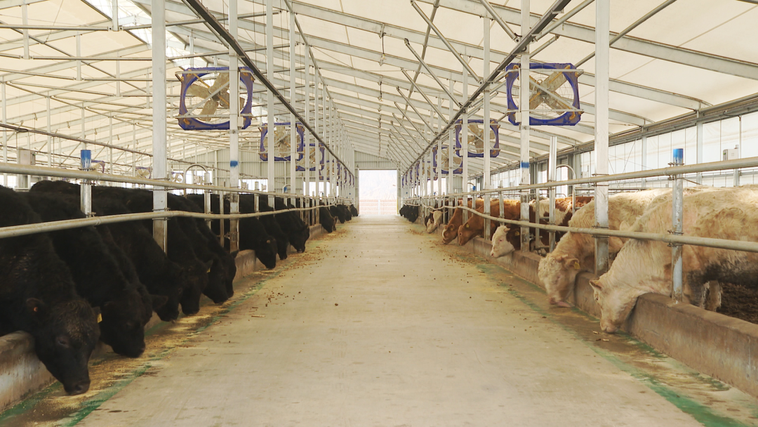 2024年中央一号文件释放出哪些强牧信号