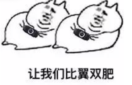 都被逼疯了！澳洲封城后，民众宅家景象曝光：满地垃圾还有蟑螂（组图） - 3