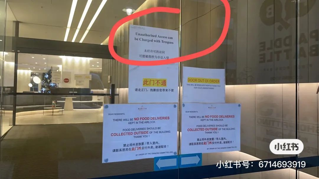 留学圈炸了！澳洲网红公寓大妈骂中国留学生是鸡，持枪赶经理，身份被扒（视频/组图） - 8
