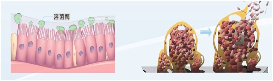 鼻腔喷雾器有什么作用【科普知识】鼻炎患者如何选择海水鼻腔喷雾器_https://www.jmylbn.com_新闻资讯_第11张