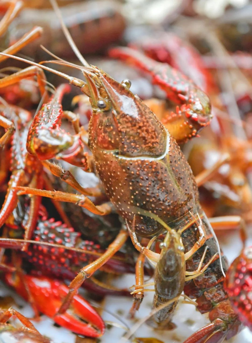 漳州工设备溢油应急库工船舶程开