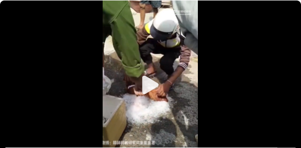 医用凡士林敷料怎么用6岁女童在小区摸了下竹子，手掌被扎了200根刺！孩子的妈妈用各种“偏方”拔刺：醋泡、用瓶子吸、针挑、胶布粘……手掌差点报废_https://www.jmylbn.com_新闻资讯_第80张