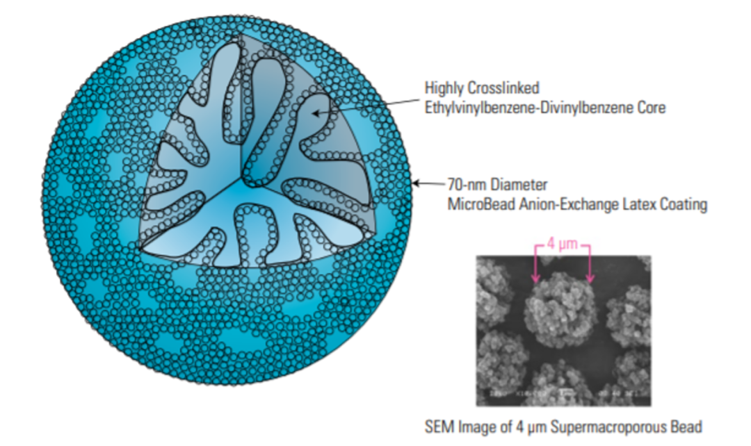 多樣選擇/賽默飛離子色譜電解液解決方案