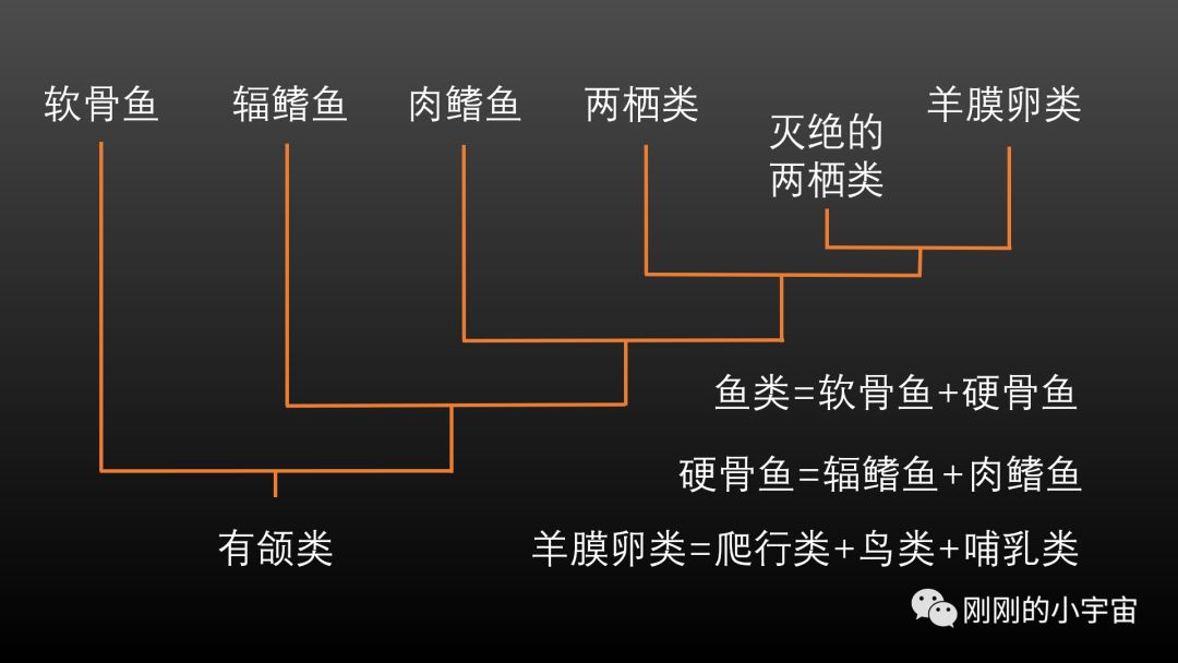 科学网—[转载]关于单系、并系和复系 - 冯荣的博文