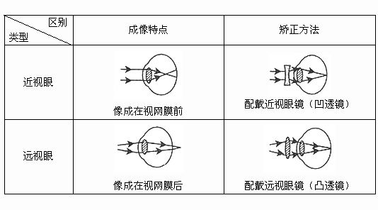 什么是远视及原理？