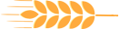 跳出for循环_跳出循环c语言_跳出循环后怎么再次进入循环