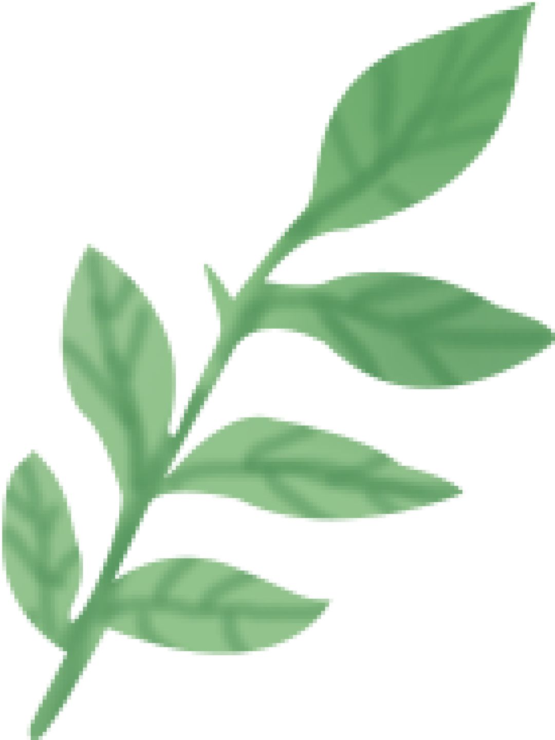 孕晚期出现耻骨疼痛，宝宝一般什么时候出生？